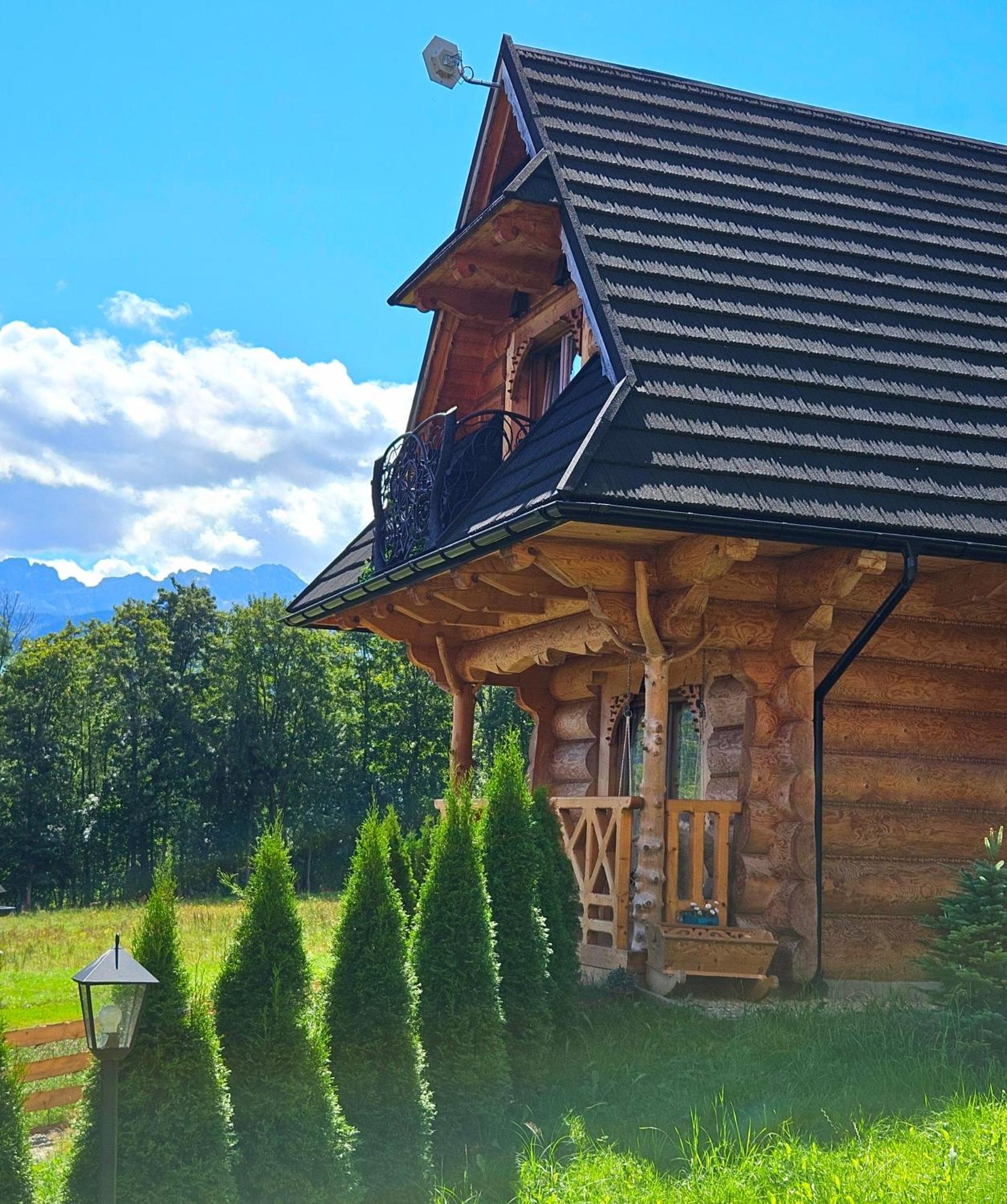 Goralska Chatka 3 Highland Cottage - Jacuzzi, Sauna, Split Ac, Private Parking, Mountains View ザコパネ エクステリア 写真