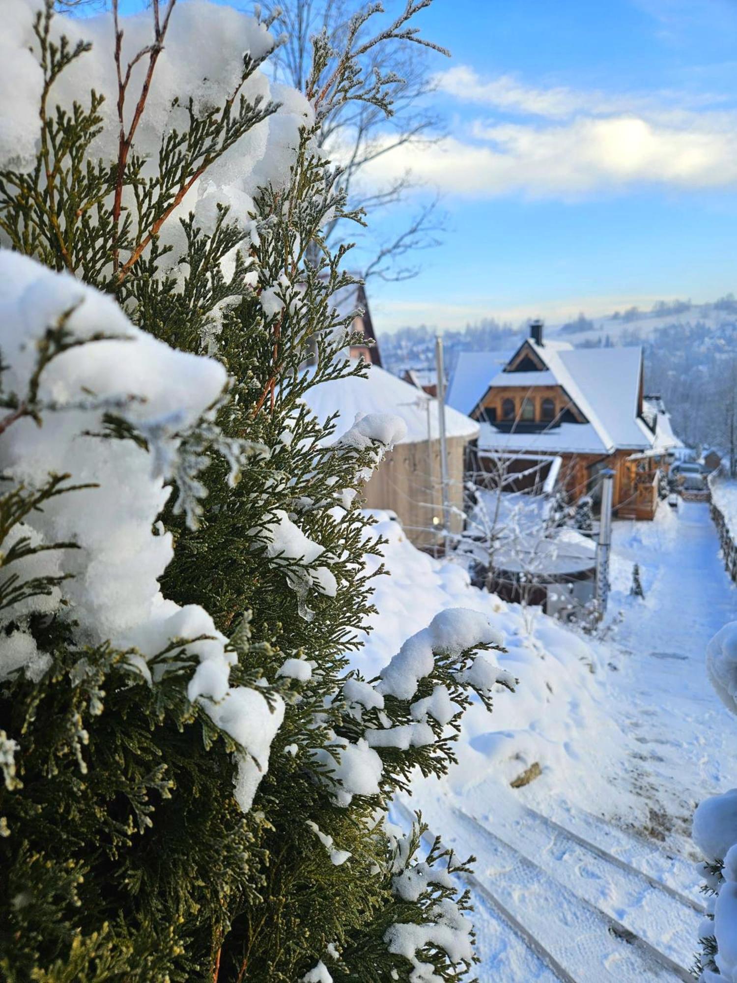 Goralska Chatka 3 Highland Cottage - Jacuzzi, Sauna, Split Ac, Private Parking, Mountains View ザコパネ エクステリア 写真